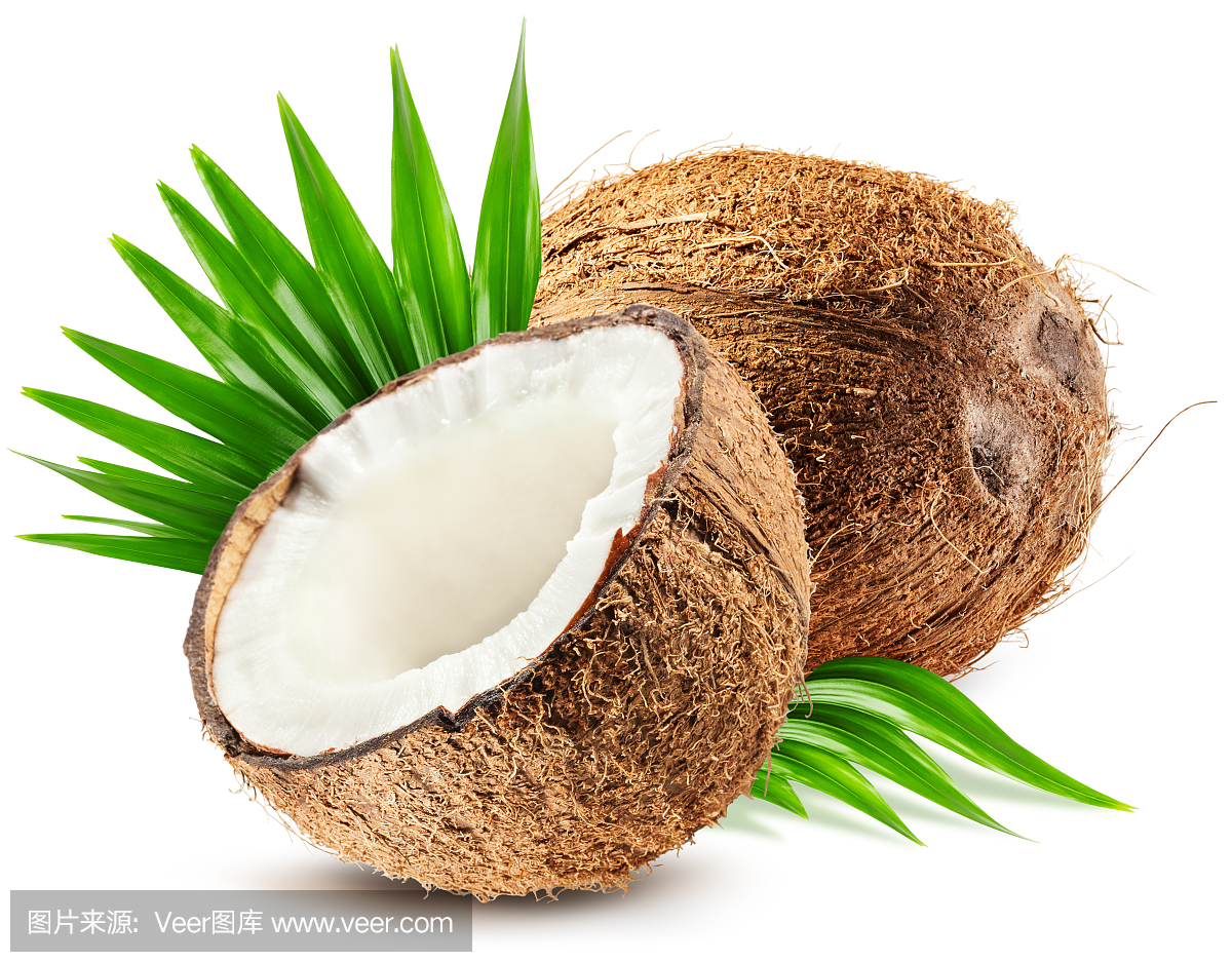 椰子和葉子孤立在白色背景上