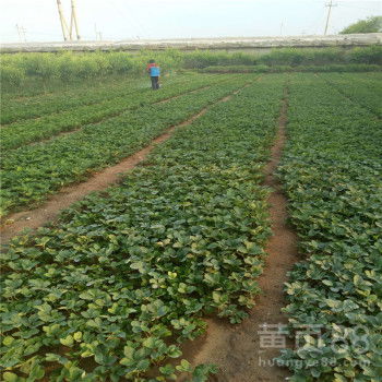 ?？? />
</a>
<span><a href=