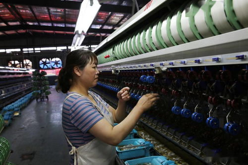 陜西石泉萬余農(nóng)戶養(yǎng)蠶,繅絲廠收繭繅絲織綢制衣,一片繁忙景象