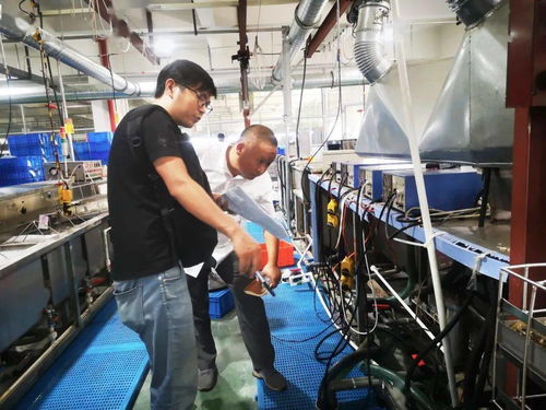 規(guī)范廠中廠，服務(wù)小微園 樂(lè)清翁垟街道多措并舉繃緊企業(yè)生產(chǎn)安全弦